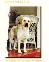 /album/fotogaleria/noticias-08-copia-jpg/